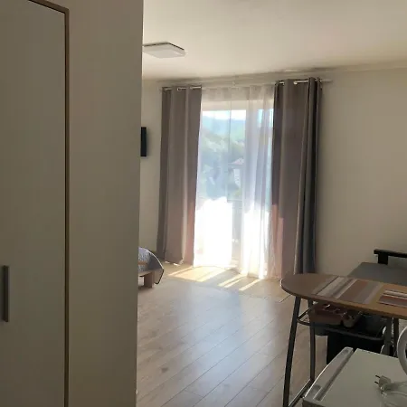 Apartment центр солнечное закарпатье *