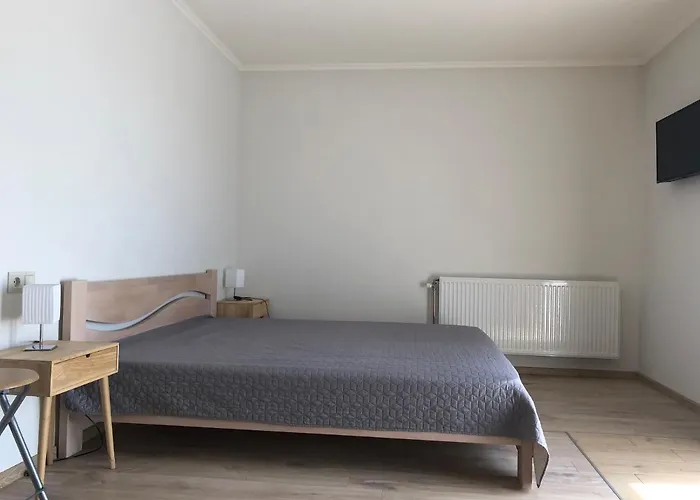 центр солнечное закарпатье 公寓