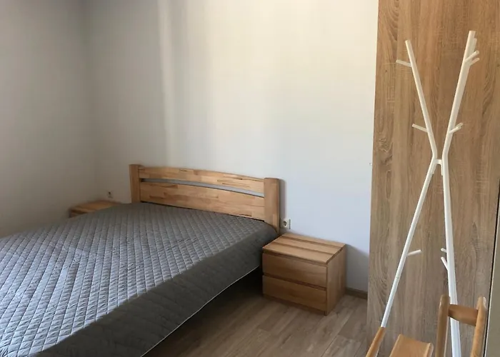 центр солнечное закарпатье 公寓 波利亚纳